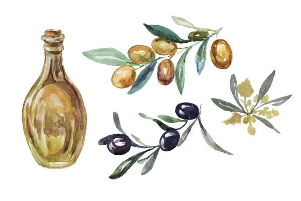 Olivy Set Provence Bezešvé Vzor Tisk Textil Přírodní Olej Akvarel — Stock fotografie