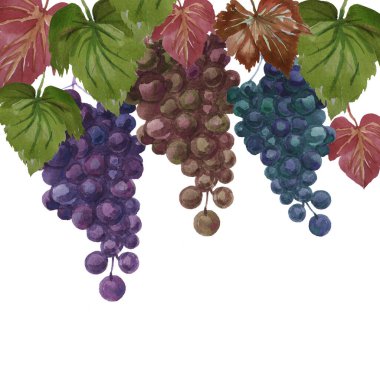 Üzüm desenleri dikişsiz suluboya meyve egzotik meyve demetleri suluboya yapraklar