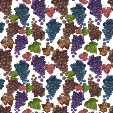 Üzüm desenleri dikişsiz suluboya meyve egzotik meyve demetleri suluboya yapraklar