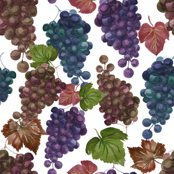 葡萄花纹无缝水彩水果异国情调水果束在白色背景上留下水色 — 图库照片