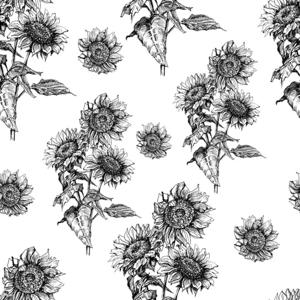 sunflower graphics pattern seamless print textile engraved vintage flora flowers botany