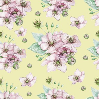 Böğürtlen dalındaki çiçekler çiçek yaprakları bitki buketi bahar bitkisi suluboya el yapımı dikişsiz baskı tekstil çerçeve sınırı