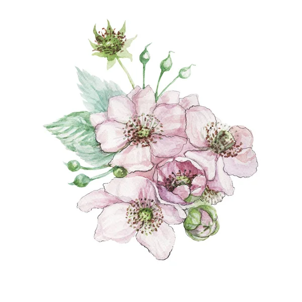 Fiori Ramo Bacche Giardino More Foglie Flora Bouquet Botanica Primavera — Foto Stock