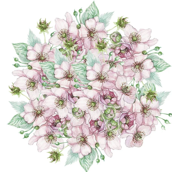 Fiori Ramo Bacche Giardino More Foglie Flora Bouquet Botanica Primavera — Foto Stock