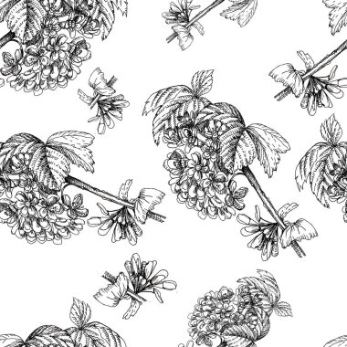 Grafik çiçekleri dallar, bahçe desenleri, dikişsiz el çizimi stili, bitki örtüsü, klasik botanik çiçekleri, beyaz arka planda eski yaz dönemi bahar çerçeve sınırını bırakıyor.