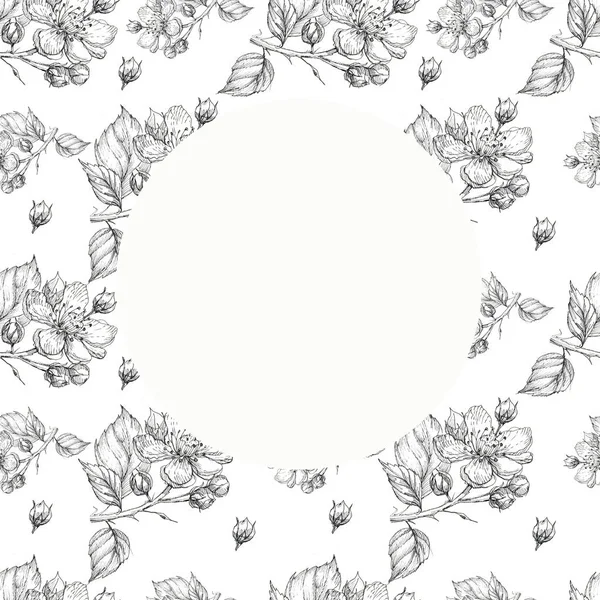 Flowers Pattern Seamless Blackberry Garden Currant Graphics Line Hand Drawn — Stock Photo, Image
