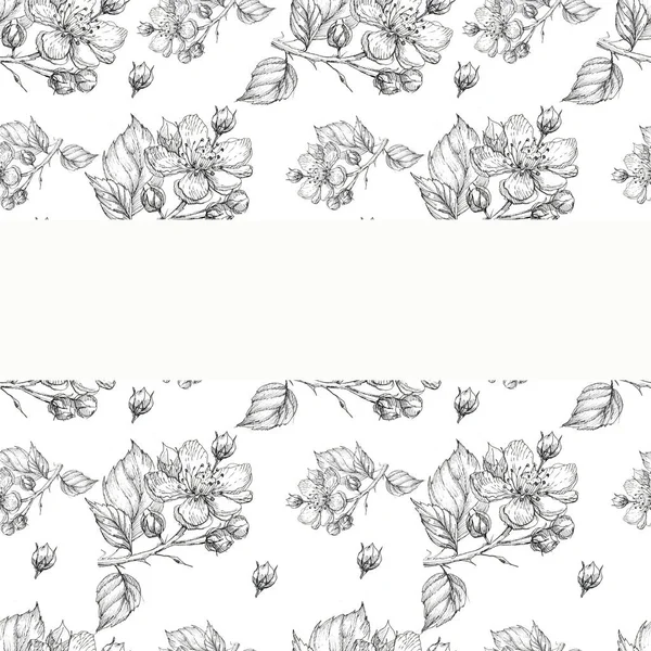 Flowers Pattern Seamless Blackberry Garden Currant Graphics Line Hand Drawn — Stock Photo, Image