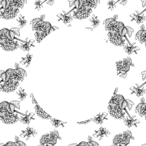 Bloemen Patroon Naadloze Braambes Tuin Bessen Graphics Lijn Met Hand — Stockfoto