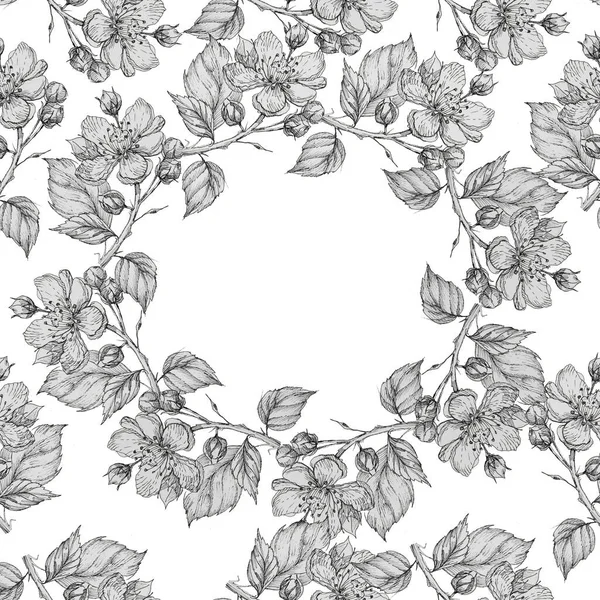 Flowers Pattern Frame Border Blackberry Garden Currant Graphics Line Hand — Stock Photo, Image