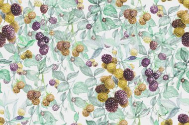 Böğürtlen desensiz, sulu boya, el yapımı, tekstil meyvesi yaprakları. Bahar mevsimi, reçel suyu, vejetaryenlik. Duvar kağıdı etiketleri için doğal.