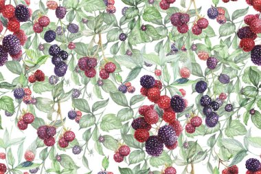 Böğürtlen desensiz, sulu boya, el yapımı, tekstil meyvesi yaprakları. Bahar mevsimi, reçel suyu, vejetaryenlik. Duvar kağıdı etiketleri için doğal.