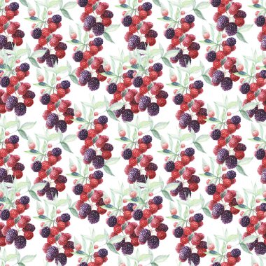 Böğürtlen desensiz, sulu boya, el yapımı, tekstil meyvesi yaprakları. Bahar mevsimi, reçel suyu, vejetaryenlik. Duvar kağıdı etiketleri için doğal.