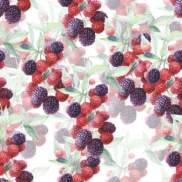 黑莓花纹无缝水彩画手绘纺织品浆果果叶枝条春季古埃及果酱果汁素食天然壁纸标签名片 — 图库照片