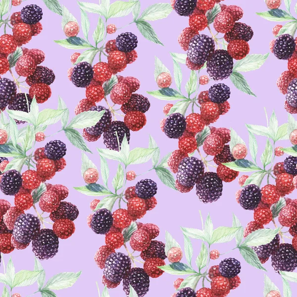黑莓花纹无缝水彩画手绘纺织品浆果果叶枝条春季古埃及果酱果汁素食天然壁纸标签名片 — 图库照片