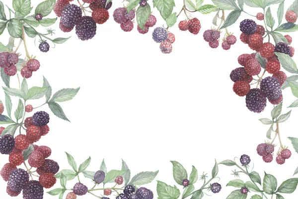 黑莓木片 框架水彩画 手工印制的纺织品浆果 树叶枝条 天然壁纸标签 — 图库照片