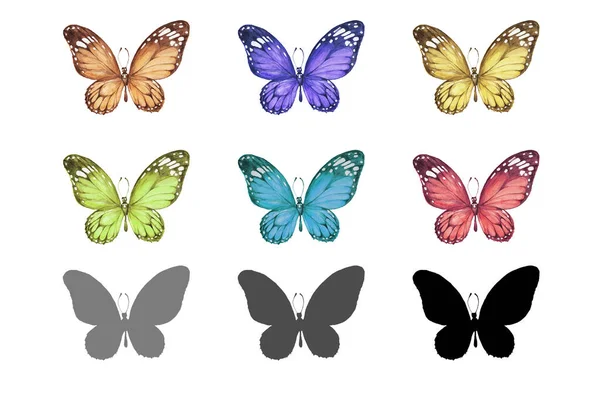 나비의 무미건조 수채화는 수채화이다 홀리데이 배경으로 수있다 — 스톡 사진
