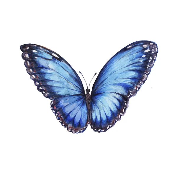 Mariposas Patrón Sin Costuras Ilustración Acuarela Dibujada Mano Insectos Vida — Foto de Stock