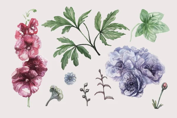 Gezet Met Anemonen Kaasjeskruid Bloemen Handgetekende Aquarel Illustratie Violet Blauw — Stockfoto