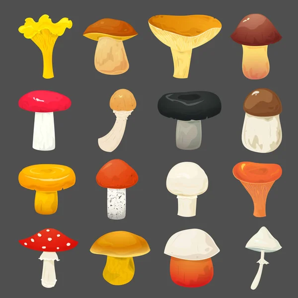 Mushrooms icons set — Stock Vector