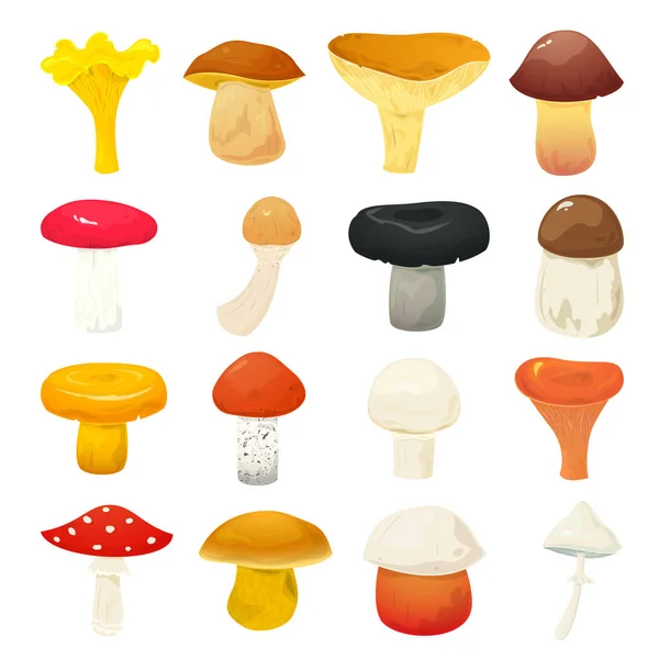 Conjunto de ícones de cogumelos diferentes — Vetor de Stock