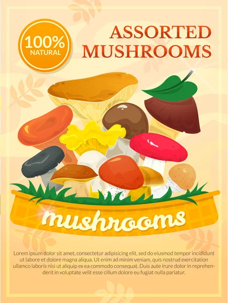 Mushrooms concept design — Stock Vector