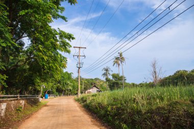 Köy yolunda ve alanları