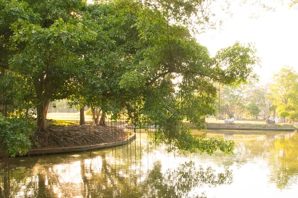 Lago Parque Verano — Foto de Stock