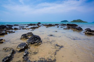 kayalık bir plaj görünümü