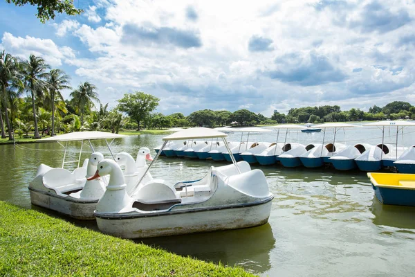 Bote Cisne Pedal Río — Foto de Stock