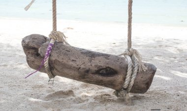 Plajda çocuklar salıncak