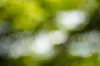 Doğal Bokeh, bulanık bokeh.