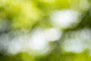 Doğal Bokeh, bulanık bokeh.