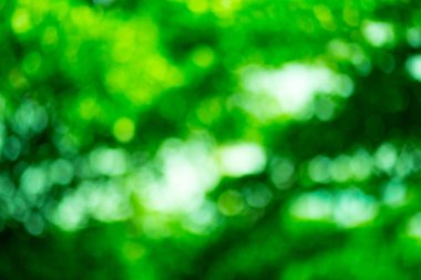 Doğal Bokeh, bulanık bokeh.