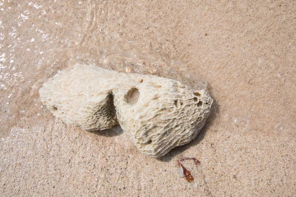 Πέτρες Μια Παραλία — Φωτογραφία Αρχείου