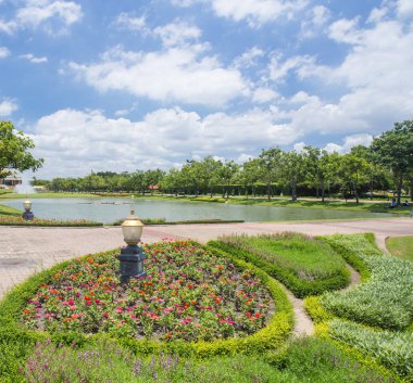 Park'ın Bir Görüntüsü