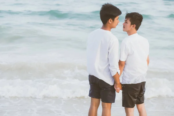 Volver ver homosexual joven asiático pareja de pie juntos en bea — Foto de Stock