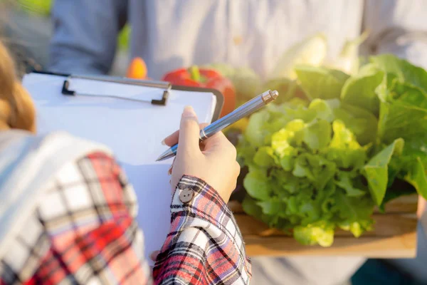 Jovem asiático mulher verificando vegetal orgânico hidropônico fazenda e — Fotografia de Stock