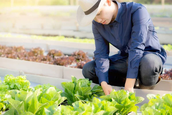 Ung asiatisk man bonde kollar färska ekologiska grönsakskök — Stockfoto