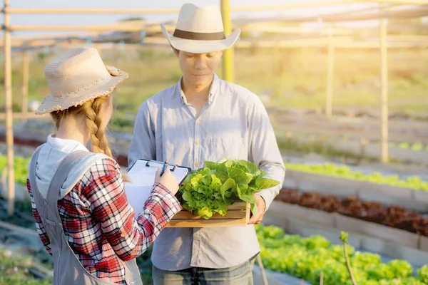 Young asian woman checking vegetable organic hydroponic farm and — Stock Photo, Image