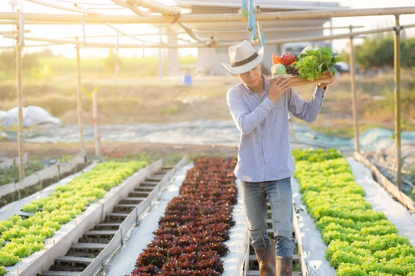 Portrait young asian man walking harvest and picking up fresh or — 스톡 사진