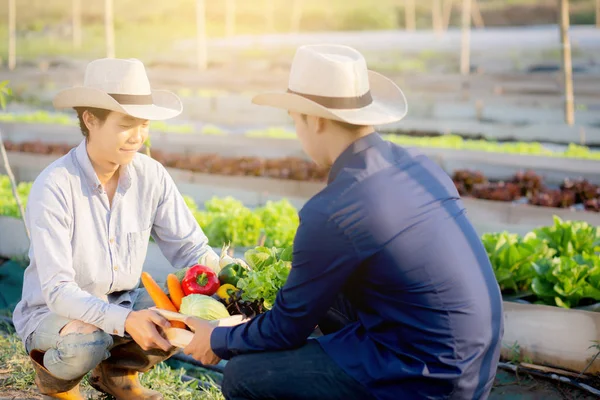 Dva mladí asijské muž vyzvednutí čerstvé organické zeleniny s bazalkou — Stock fotografie