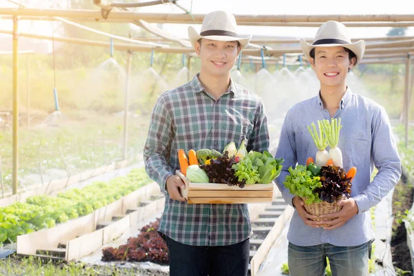 Krásný Portrét Mladý Dva Muži Sklizeň Vyzvednutí Čerstvé Organické Zeleniny — Stock fotografie