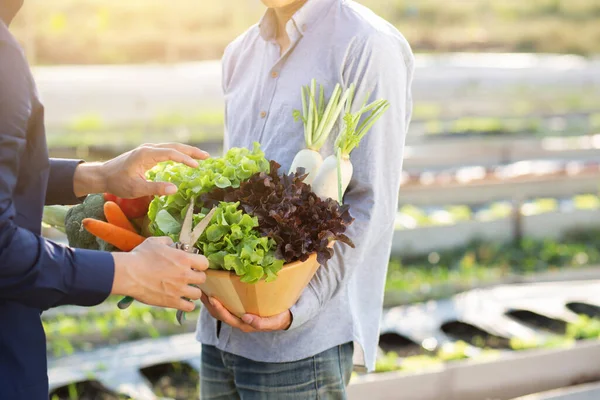 Bonito Jovem Asiático Dois Homens Pegando Vegetais Orgânicos Frescos Com — Fotografia de Stock