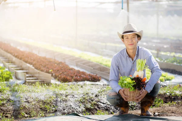 農業と健康的な食品やビジネスのコンセプトのための栽培 養液栽培の農場でバスケットに新鮮な有機野菜のキッチンガーデンを拾うと若いアジアの男が笑顔肖像画 — ストック写真