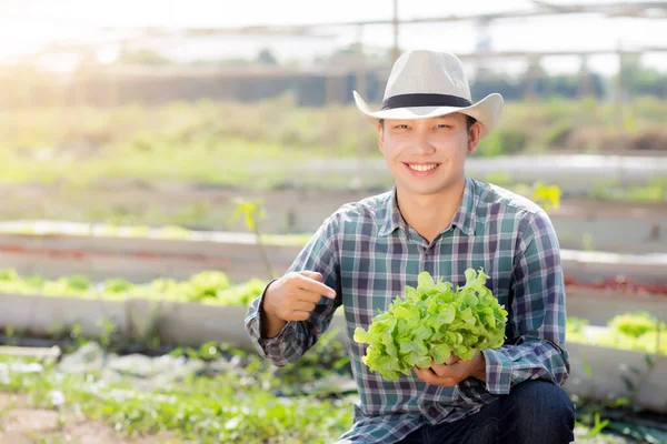 Mladý Asijský Muž Zemědělec Hospodářství Ukazuje Čerstvé Bio Zelený Dub — Stock fotografie
