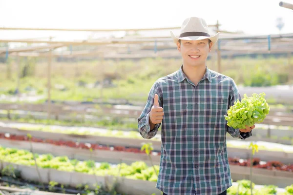 Mladý Asijský Muž Zemědělec Drží Ukazuje Čerstvé Bio Zelený Dub — Stock fotografie