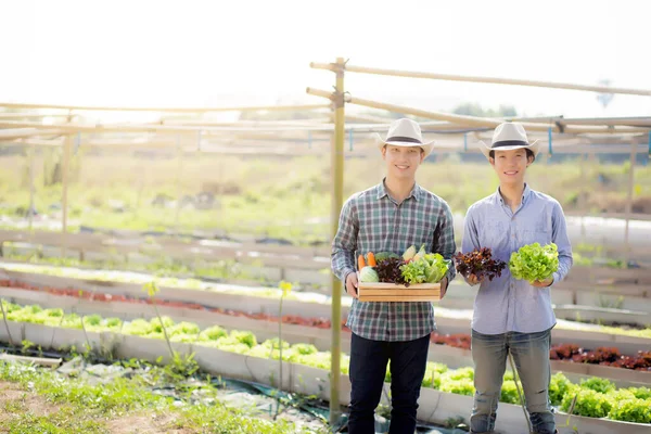 Beautiful Portrait Young Two Man Harvest Picking Fresh Organic Vegetable — Stock Photo, Image