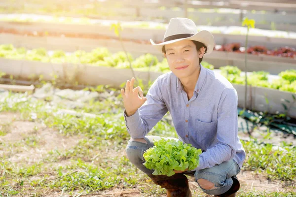 Jovem Ásia Homem Agricultor Exploração Mostrando Fresco Orgânico Verde Carvalho — Fotografia de Stock