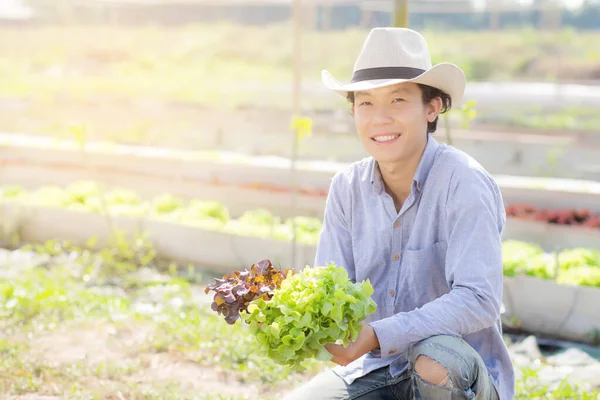 Jonge Aziatische Man Landbouwer Met Verse Biologische Groene Eik Rode — Stockfoto