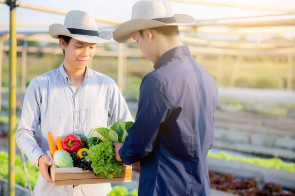 Twee Jonge Aziaten Die Samen Verse Biologische Groente Oppikken Met — Stockfoto